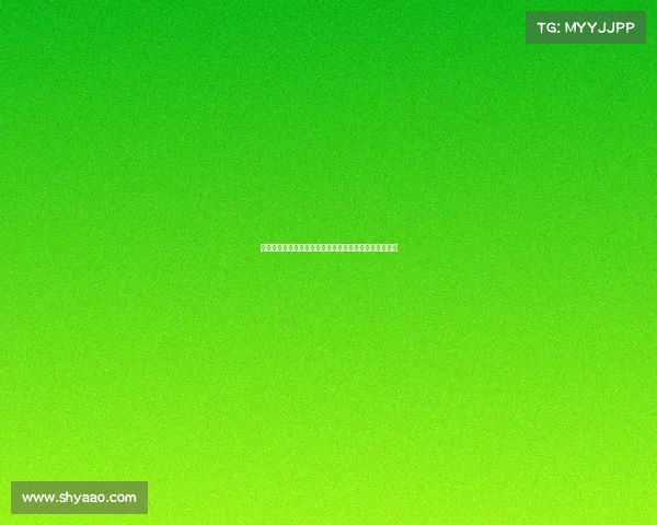 阿莫林在球场上的心酸历程：从高光到低谷的奋斗与坚持